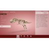 Aplikacja Corinth - Paleontologia i Kultura - 4